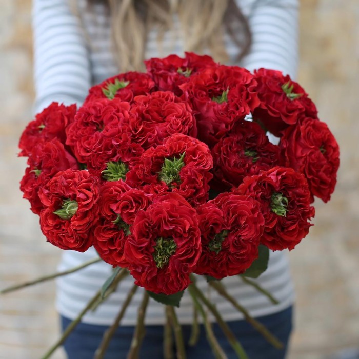 Букет 17 роз Ред Монстр