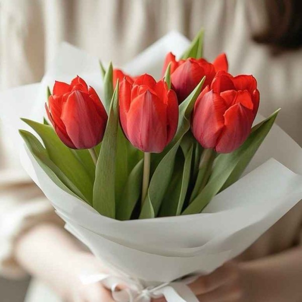 Букет 5 красных тюльпанов