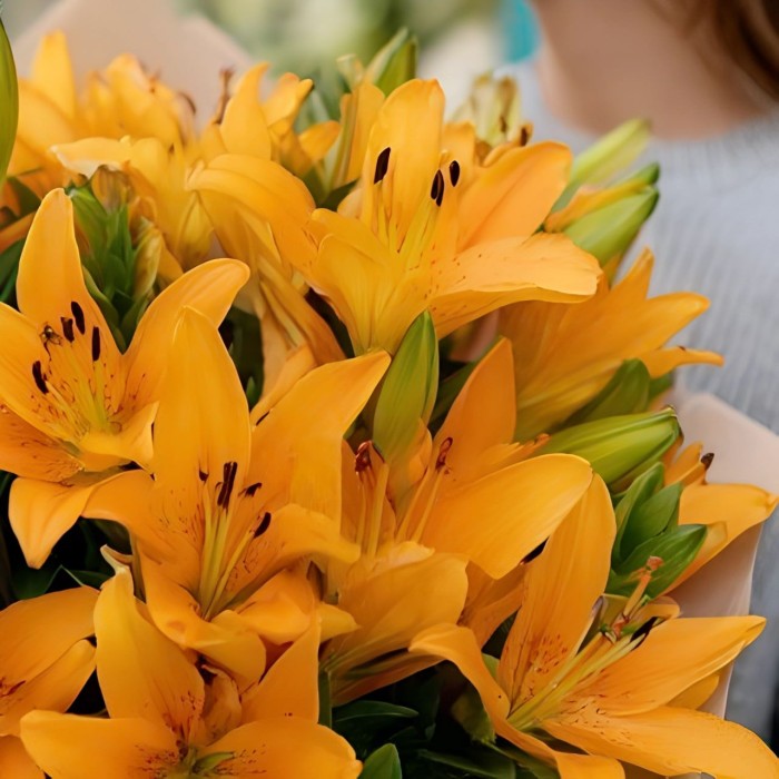 Букет 11 тигровых лилий