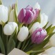 13 бело-сиреневых тюльпанов
