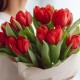 Букет 13 красных тюльпанов