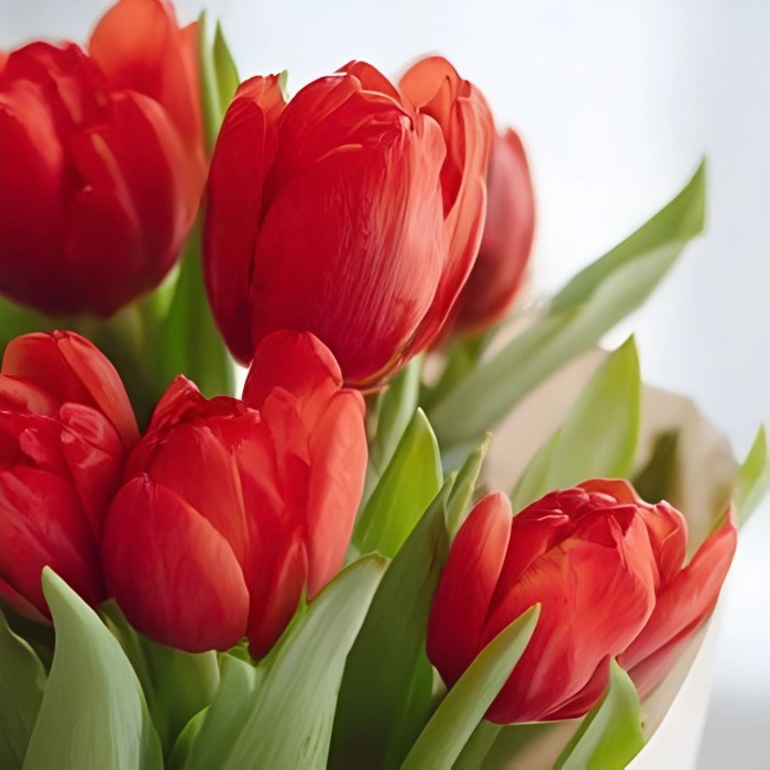 Букет 13 красных тюльпанов