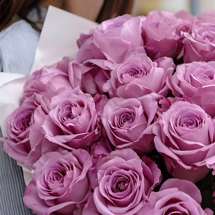 Букет 23 эквадорские розы