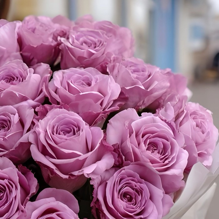 Букет 23 эквадорские розы