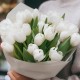 Букет 25 белых тюльпанов