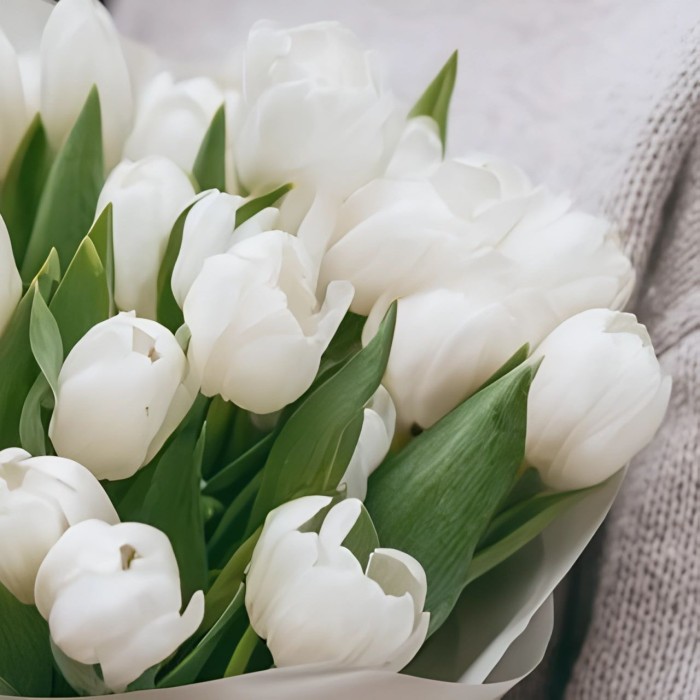 Букет 25 белых тюльпанов