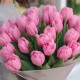 Букет 25 розовых тюльпанов