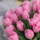 Букет 25 розовых тюльпанов