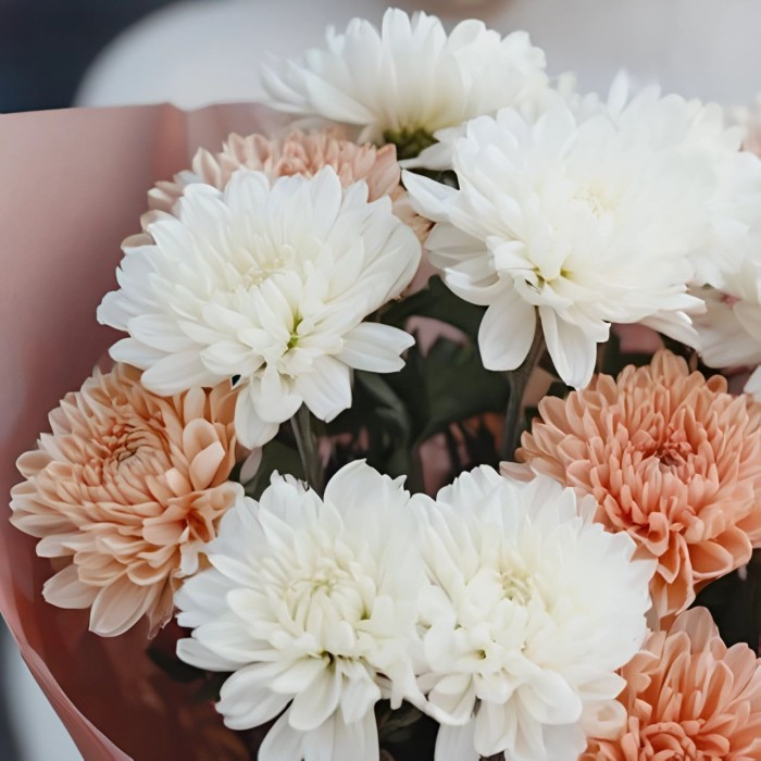 Букет 3 бело-кремовые хризантемы