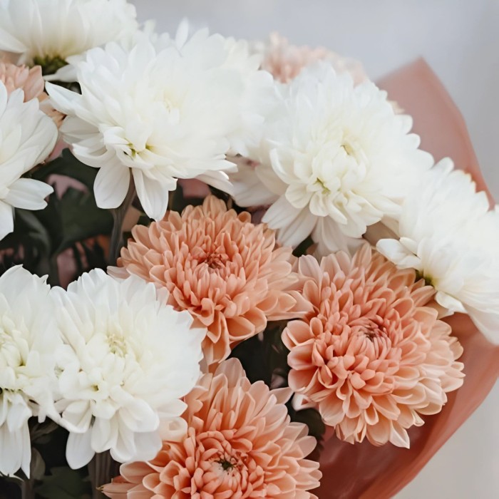 Букет 3 бело-кремовые хризантемы