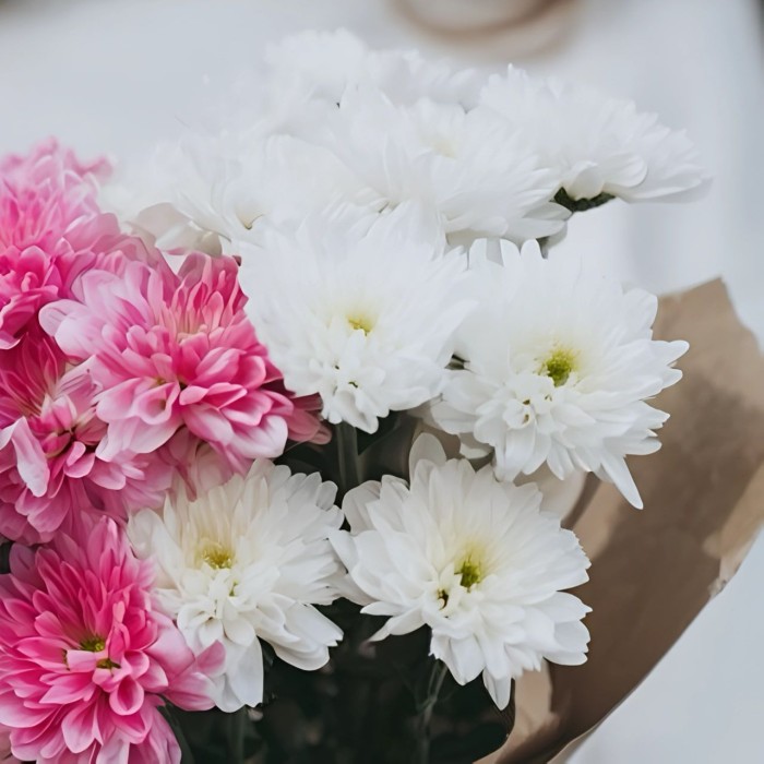 Букет 3 бело-розовые хризантемы