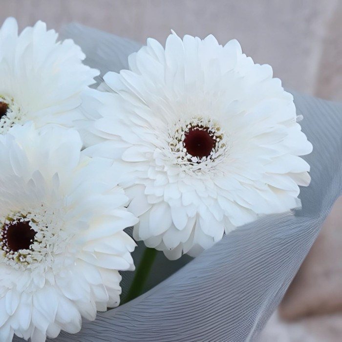 Букет 3 белые герберы