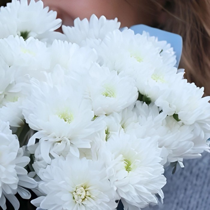 Букет 3 белые хризантемы в голубом оформлении