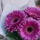 Букет 3 фиолетовые герберы