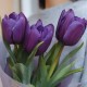 3 фиолетовых тюльпана