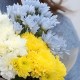 Букет 3 хризантемы микс