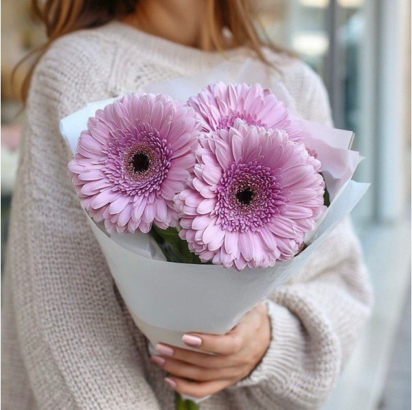 Букет 3 розовые герберы