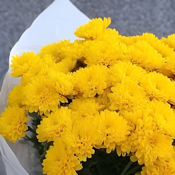 Букет 3 желтые кустовые хризантемы