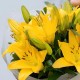 Букет 3 желтые лилии