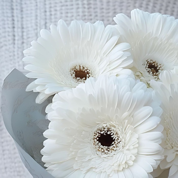 Букет 5 белых гербер