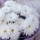 Букет 5 белых кустовых хризантем
