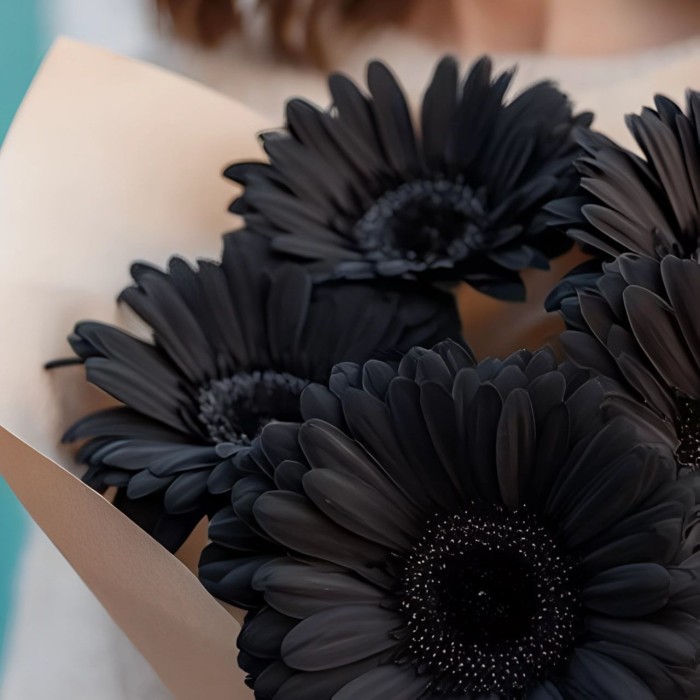 Букет 5 черных гербер