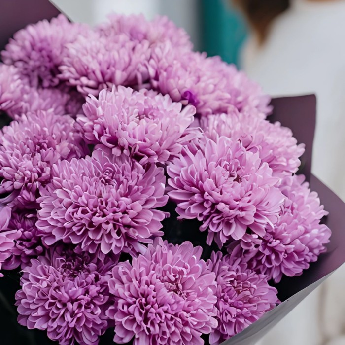 Букет 5 фиолетовых хризантем Мемфис