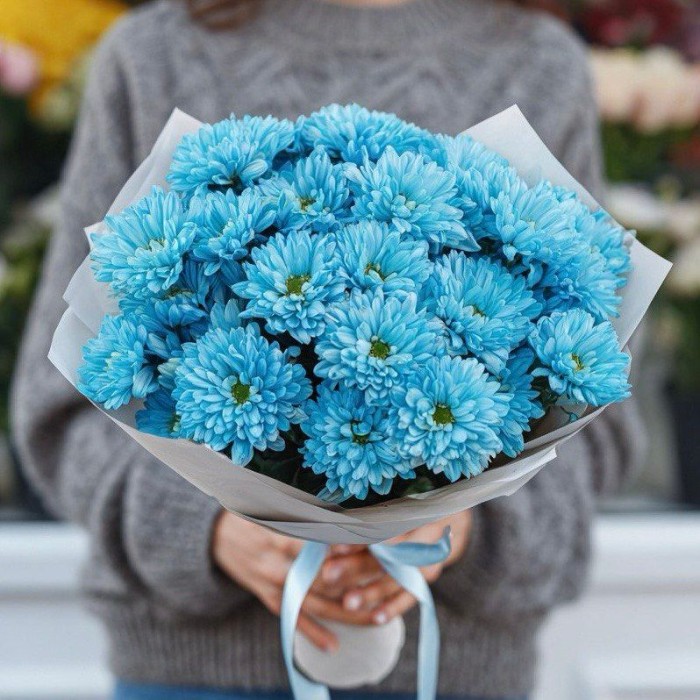 Букет 5 голубых кустовых хризантем