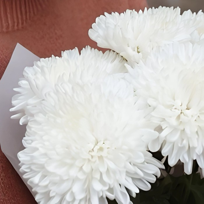 Букет 5 одноголовых хризантем