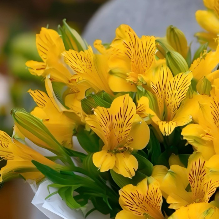 Букет 5 желтых альстромерий