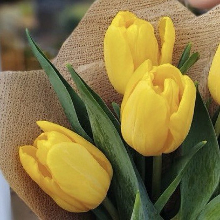 Букет 5 желтых тюльпанов