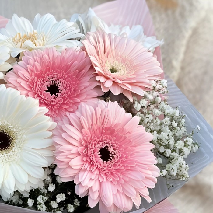 Букет 7 бело-розовых гербер