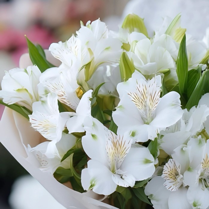 Букет 7 белых альстромерий