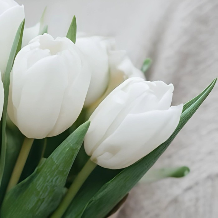 Букет 7 белых тюльпанов