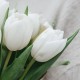 Букет 7 белых тюльпанов