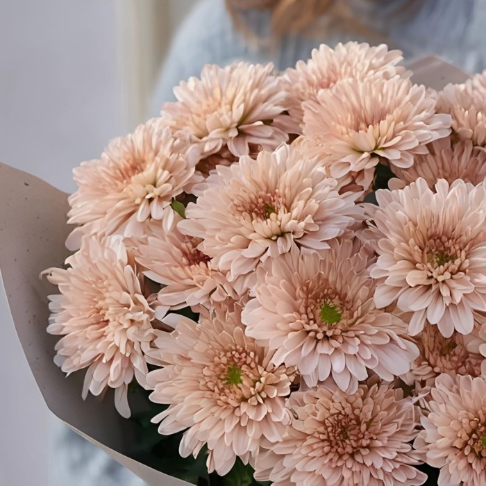 Букет 7 бежевых кустовых хризантем