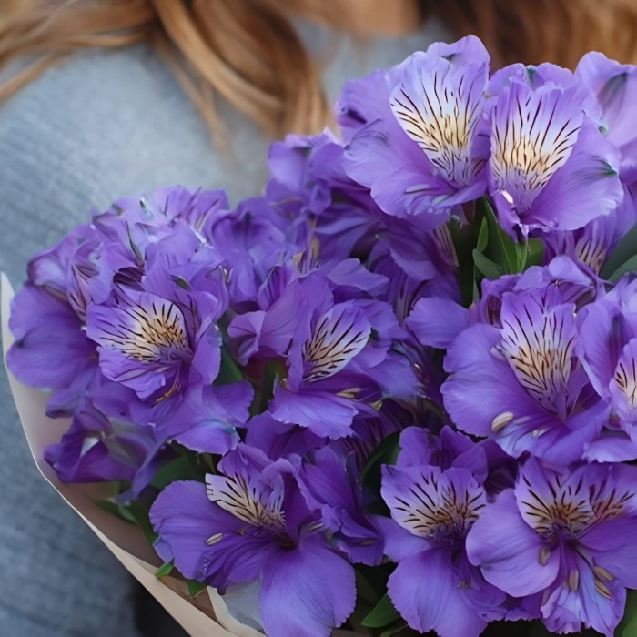 Букет 7 фиолетовых альстромерий
