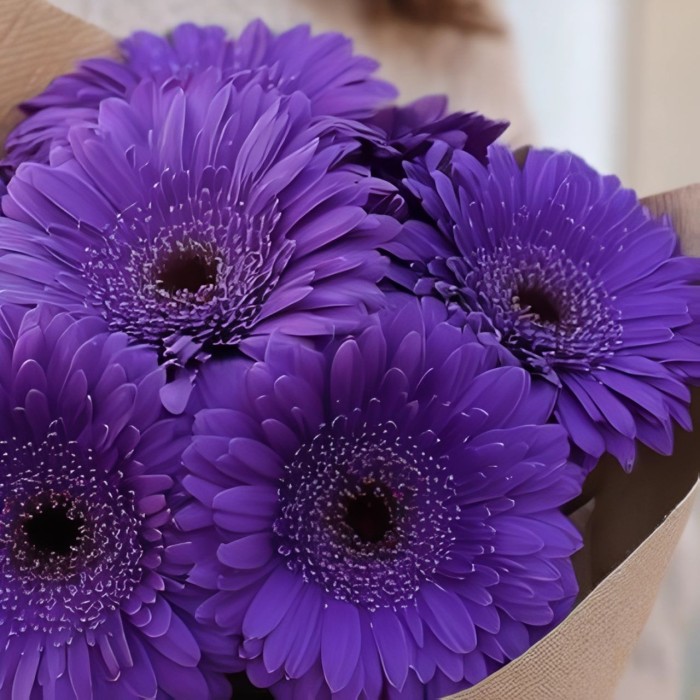 Букет 7 фиолетовых гербер