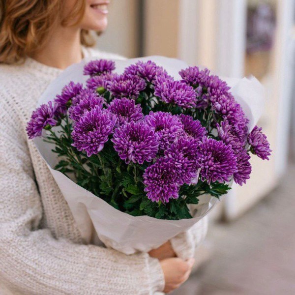 7 фиолетовых кустовых хризантем