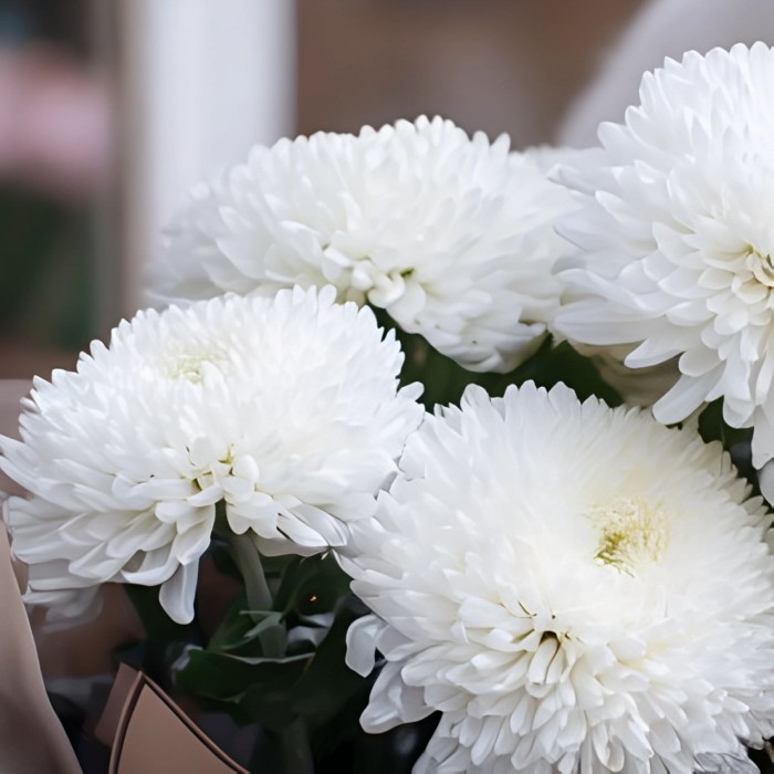 Букет 7 хризантем Помпон