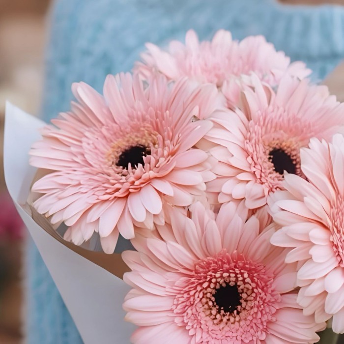 Букет 7 розовых гербер