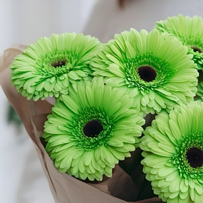 Букет 7 зеленых гербер