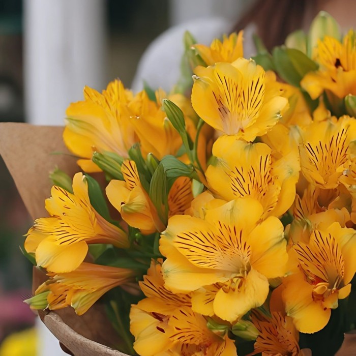 Букет 7 желтых альстромерий в упаковке