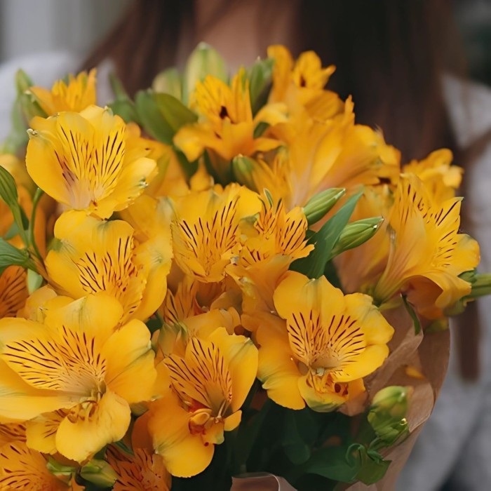 Букет 7 желтых альстромерий в упаковке