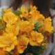Букет 7 желтых альстромерий в упаковке