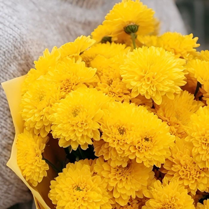Букет 7 желтых хризантем