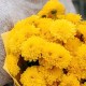 Букет 7 желтых хризантем