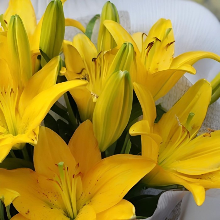 Букет 7 желтых лилий