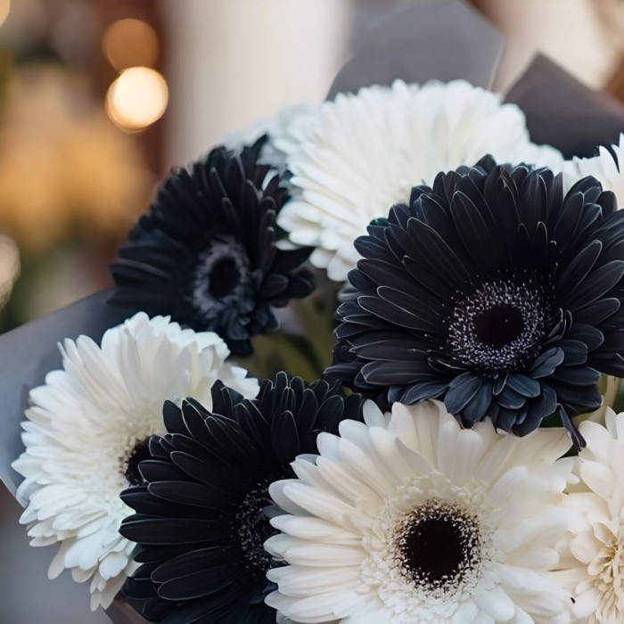 Букет 9 черно-белых гербер