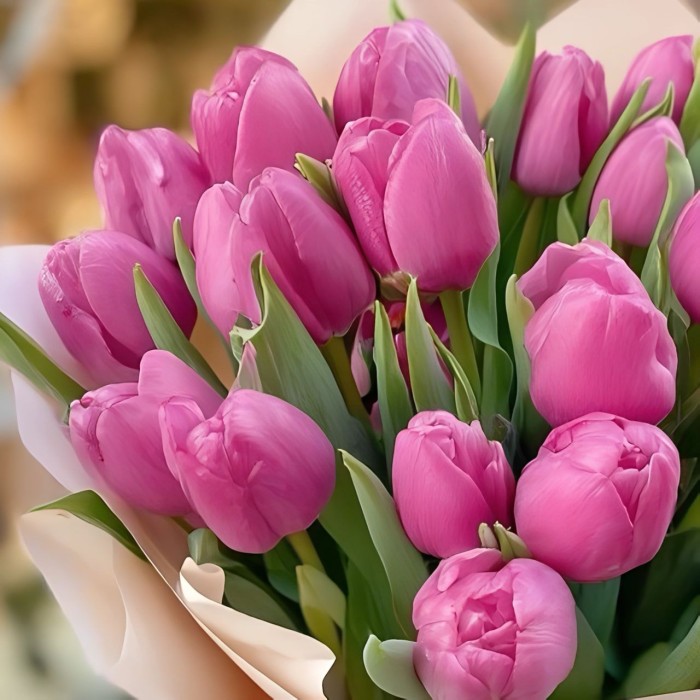 Букет из 27 тюльпанов